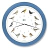 KOOKOO BirdHouse rosso, orologio cucu design moderno, canto di 12 uccelli canori o cuculo, orologio c. pendolo