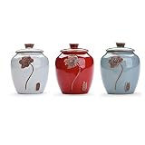 RPLW Tea Coffee Sugar Canisters,Set of 3 Ceramic Food Storage Jar Set with Lid,Tea Coffee Sugar Sets