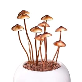 2 Packs Iron Mushrooms...