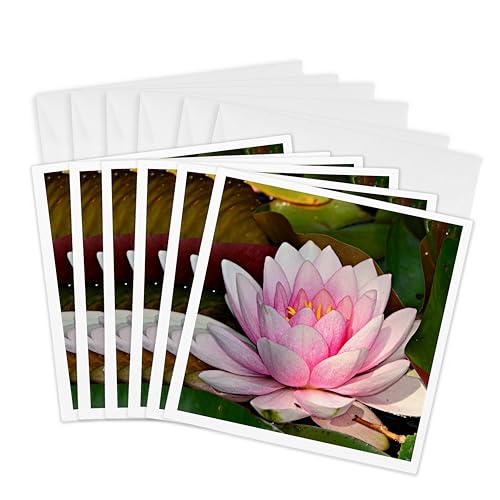 Cartes de voeux lotus rose lot de 6 pliées au format carré 15x15 cm