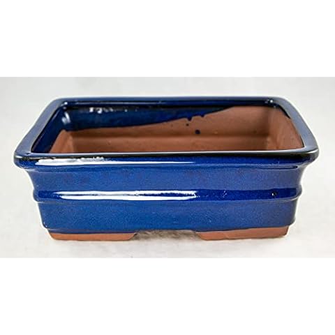 Calibonsai Rectangular Bonsai/Cactus & Succulent Pot 10"x 8"x 3.25" - Dark Blue Glazed Cover