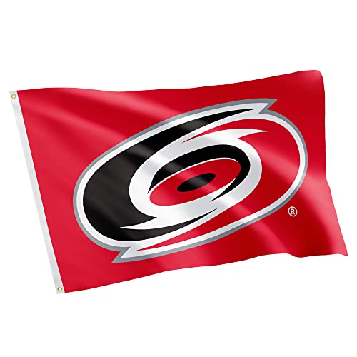 Desert Cactus Carolina Hurricanes Flag NHL 100% Polyester Indoor Outdoor 3x5 feet National Hockey League Team Flags (Design #2)