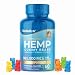Hemp Gummies Premium 3000 Milligram High Potency - 50 Per Fruity Gummy Bear with Organic Hemp Oil | Rich in Omega 3-6-9