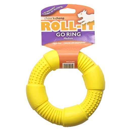 Chase 'n Chomp Go-Ring Pet Chew Toy, Medium