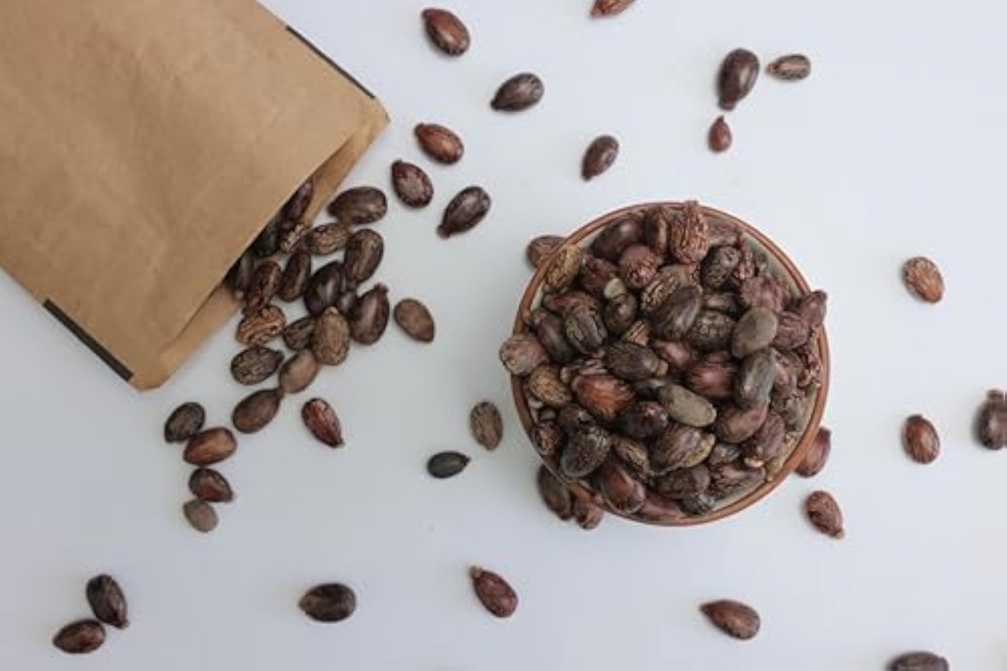 OGOC Natural Castor Seeds, 100g