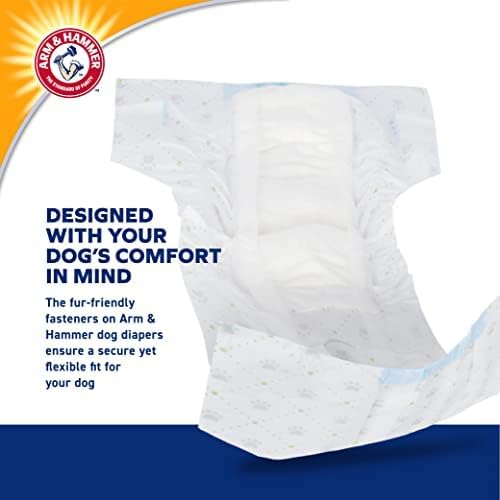 Image of Arm & Hammer for Pets Disposable Female Dog Diapers with Odor Control and Wetness Indicator Leak Resistant for Incontinence and Heat Cycles Size Small 15-19 Inch Waist 12 Count 6 Pack Daily Wear