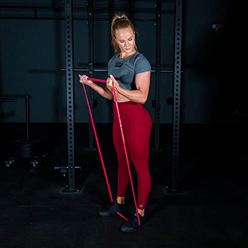 Image of SERIOUS STEEL FITNESS Assisted 41 inch Pull-Up Band, Resistance & Stretch, Powerlifting & Pull-up Assist Loop (Single Band)