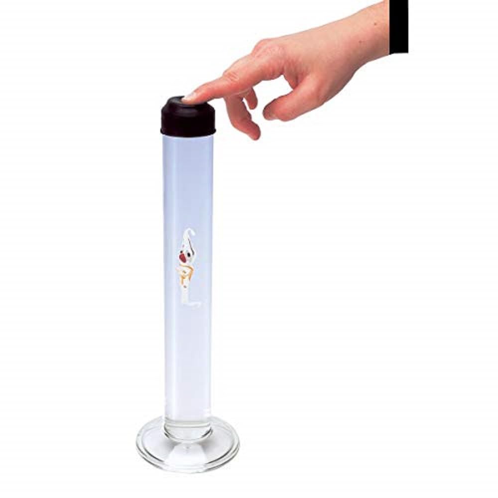 3B Scientific U14090 Le ludion