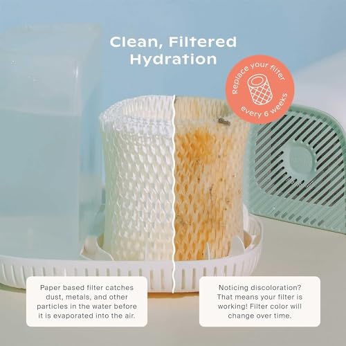 Image of Canopy Original Bedside Humidifier Filter, 1-Pack, 6-Week Replacement