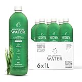 Chlorophyll Water (6-Pack, 1 Liter), Chlorophyll Liquid Drops with Vitamin Water for Hydration, Natural Detox & Immunity Support, Clean Label Project Certified, Refreshing Lemon & Spearmint Taste
