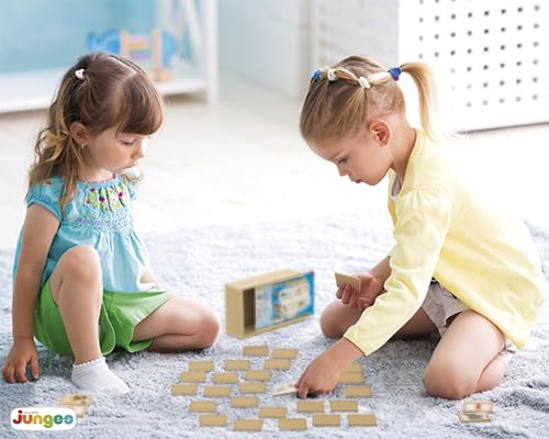 Memória Em Inglês Animais (Estojo) Junges