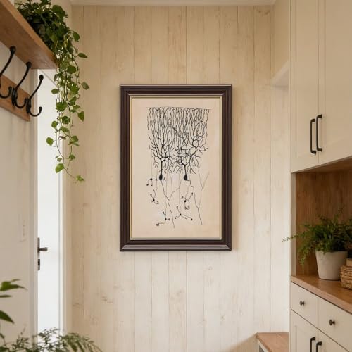 Dessin de neurones de Ramon Y Cajal impression sur toile de style vintage 20x30 cm