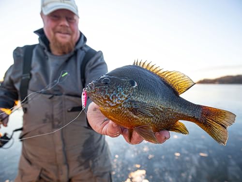 Northland Tackle Tungsten Buck-Shot Rattle Spoon, Fast-Sinking Ice Fishing Spoon with Loud Brass Rattle, UV Electric Perch, 1/4 Oz by Northland Tackle - Image 6
