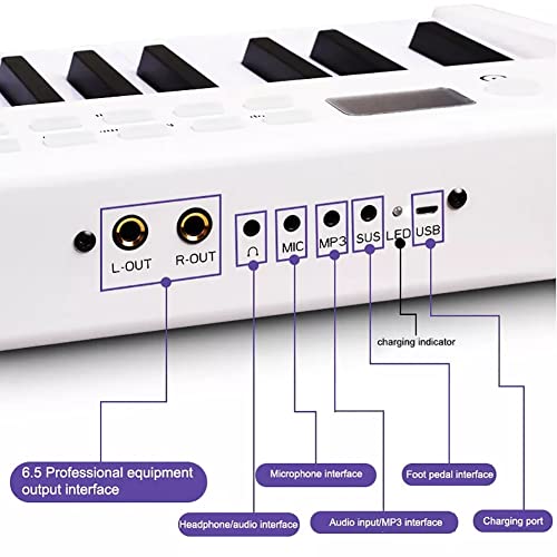 KEMNGO Piano numérique 88 Touches, Clavier électronique Portable Pleine Grandeur, Clavier MIDI, Haut-parleurs intégrés… - Les Beatles, Paul McCartney, John Lennon, RIngo Starr, George Harrison KEMNGO Piano numérique 88 Touches, Clavier électronique Portable Pleine Grandeur, Clavier MIDI, Haut-parleurs intégrés… – Image 5