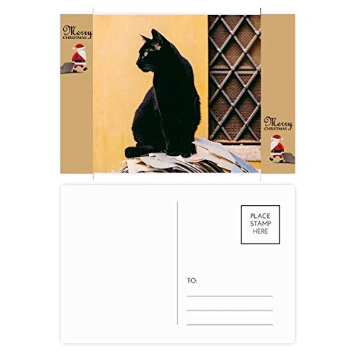 Photos de chat noir avec Père Noël : images festives de chaton pour carte de vœux