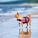 Yosoo Dog Life Jacket Pet Life Preserver with Reflective Stripes Vest Saver Coat Flotation Float Life Jacket Aid Buoyancy for Doggy (XXS, Rose) (XXS)