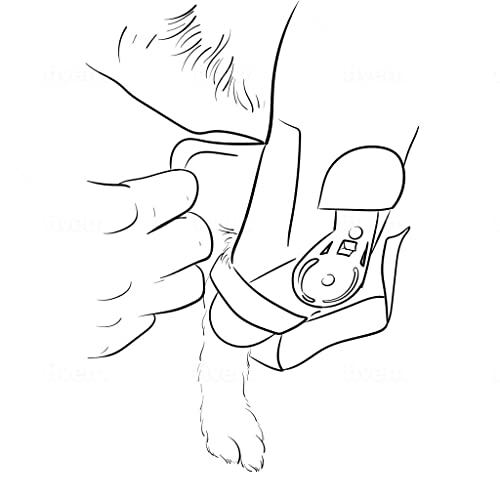 Agon Dog Knee Brace – Professional Knee Support Brace For Dogs With Adjustable Hinge Stabilizer – Premium Neoprene Hip Brace For Knee Support, Dog Recovery, And Joint Support (Left Leg, Small) #TOP4