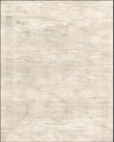 Babovid Area Rugs for Living Room 6x9 Large Washable Non-Slip Vintage Beige