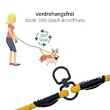Floxik Tau Doppelleine für 2 Hunde grau/orange - reflektierend, dehnbar und verhedderungsfrei – Doppelte Hundeleine zum Koppeln - perfekt für kleine bis mittelgroße Hunde