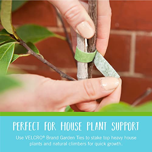 VELCRO Brand VEL-30071-USA ONE-WRAP Garden Ties | Plant Supports for Effective Growing | Strong Grips are Reusable and Adjustable | Cut-to-Length, 50 ft x 1/2 in, Green-Recycled Plastic by VELCRO Brand - Image 5