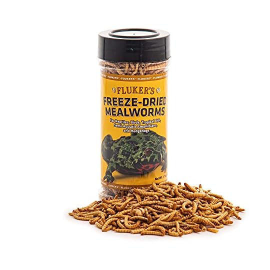 Fluker's Freeze Dried Insects, Nutrient, Packed Mealworms, Ideal for ...
