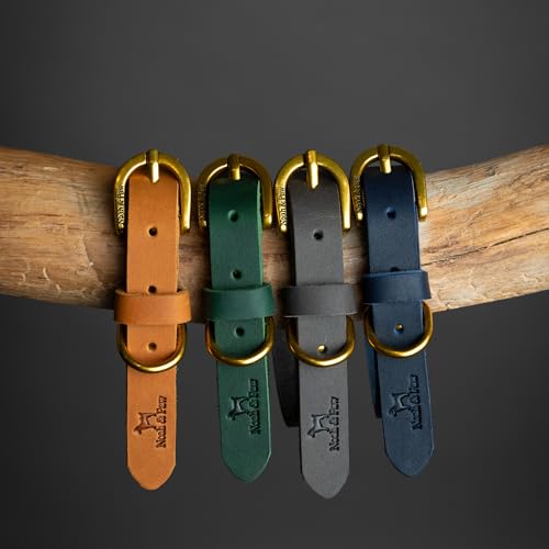 Image of NOAH & PAW Extra Small Dog and Cat Collar, Genuine Leather Dog Collar with Oil-Wax Finish, Heavy Duty Metal Buckle, Unisex Colors for Girl and Boy, Neck Size 9 inch-12 inch (Dark Blue).