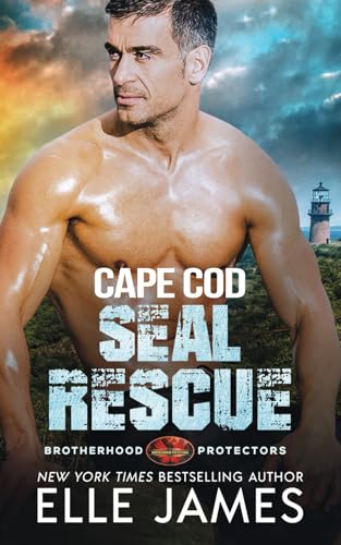 Cape Cod Seal Rescue view 2