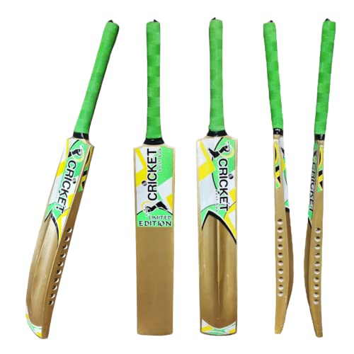 List of Top Ten Best Cricket Bats For Tennis Ball [Top Picks 2023 Reviews]