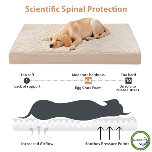 Image of WNPETHOME Orthopedic XL Dog Beds Large Sized Dog, Waterproof Extra Large Dogs Bed with Removable Washable Cover, Multi-Needle Quilting Dogs Crate Bed