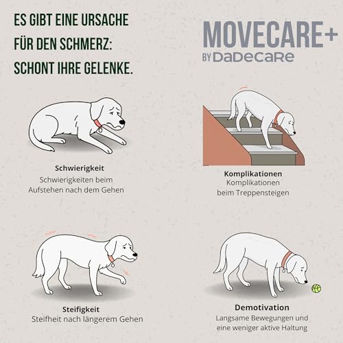 Movecare + Chondroprotektor für Hunde, 300 g, Gelenkpulver für Hunde, grüne Muscheln, Glucosamin, Chondroitin und Hyaluronsäure, Kondoprotektoren für Hunde für die Gesundheit des Gelenks