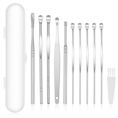 BUTBU Ohrenreiniger, 11 Stück Ohrenschmalz Entferner, Ear Cleaner Mit Vorratsbehälter, Edelstahl Tragbar Ohren Reinigung Set, Ohrreiniger für Erwachsene Jugendliche und Kinder, Ear Wax Removal(Silber)