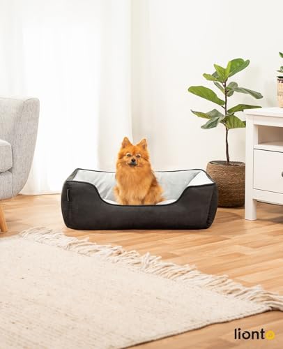 lionto Hundebett 2-in-1 mit komfortablem Einstieg, kuscheliges Heimtierbett zum Wenden für Hunde und Katzen, 80x60 cm, Hundekissen in pflegeleichter Wildlederoptik, schwarz/grau