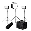 Ikan Lyra (3X) Bi-Color 3200K-5600K Soft Panel (1) 1 X 1 (2) 1 X Half Studio & Field LED Lighting Kit, Includes Barn Doors, Stands and Case, Bi-Color Adjustable (LB-1F2H) - Black
