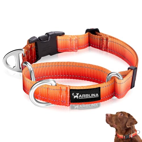 Arblina Martingale Hundehalsband, Reflektierendes Zugstopp Halsband Hunde für Große Mittlere und Kleine Hunde, Nylon Zughalsband mit Stopp für Hunde Whippets, Greyhounds, Saluki, Orange,L