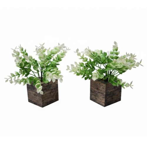 Image of DecoreBugs Artificial Eucalyptus Plant with Plastic Pot (Pack of 2) | 12 cm Height | Mini Potted Plants for Shelf Decor, Home, Office, Living Room, Desk & Table Item Decoration