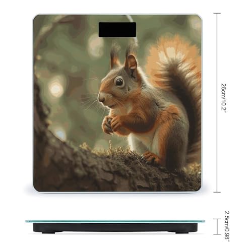 Báscula Digital de Baño Wildlife Forest Squirrel miniatura 2