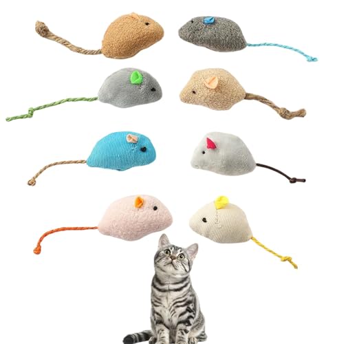 Lifetips AJV[gwA American Shorthair Lp lY~ʂ 8Zbg qL L V XgXU ^s ӂӂf L炵  ybgObY