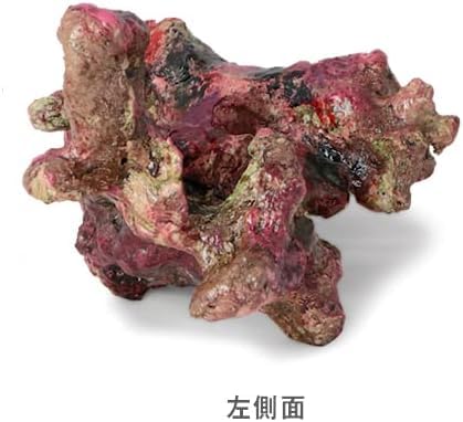 Amazon | ミニライブロックレプリカ I32 | ノーブランド品 | サンゴ 通販