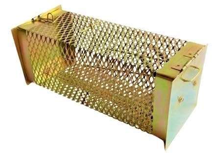Image of Heavy Duty Rat Trap Cage | Reusable Humane Live Catch Mouse Trap | Metal Rodent Catcher for Home, Kitchen, Office, Warehouse & Garden | Safe No Poison Rat & Mouse Control