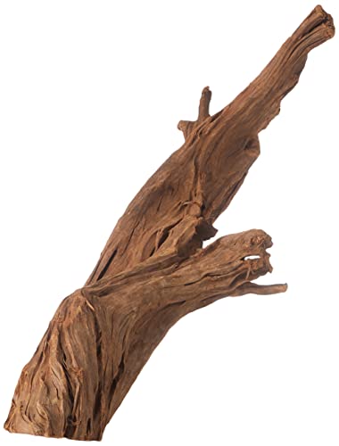 Dehner Aquatics Décoration d'aquarium en Racine de Mangrove Marron 40-60 cm