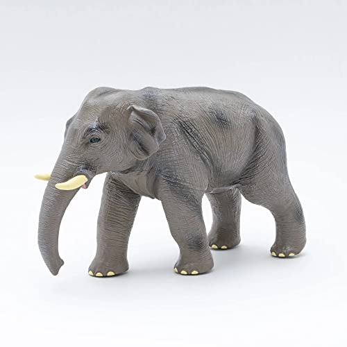 Preisvergleich Produktbild Febaritto Asian Elephants Plastic Model (Japan Import)