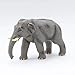 Produktbild Febaritto Asian Elephants Plastic Model (Japan Import)