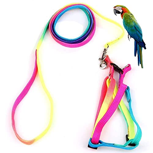 RvPaws Birds Rainbow Color Harness and Leash Set | Safe Adjustable Harness with Buckle | Long 47inch Anti bite Training Rope Leash for Macaw & Large Size Bird (Width – 10MM)
