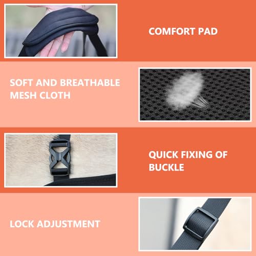 Hunde Tragehilfe, Tragbares Hundegeschirr, Verstellbare Hundehebegeschirr, Hundestützschlaufe, Hundetragegurt, Ganzkörperhebehilfe für Mittlere und Große Kranke Oder ältere Hunde (L)