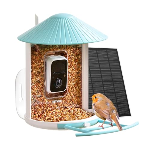 NETVUE Smart Feeder with Camera & Solar Panel, AI Auto Capture Each Come & Identify 6000+ Species, Cloud Store Videos & On Live