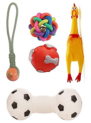 PSK PET MART Squeaky, Chew Teether Toys for Dog/Puppy - Squeaky Pig + Plastic Handle Ball + Squeaky Hen Big + Rainbow Ball (S) + Bone Print Ball - Combo of 5 (B09C3QR69D) Amazon Price History, Amazon Price Tracker