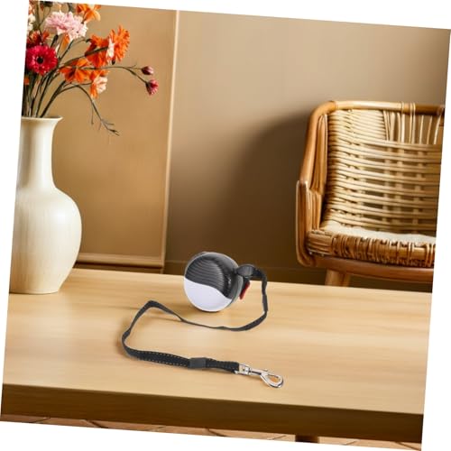 Laisse rétractable pour chien extra longue de taille moyenne à grand - 8