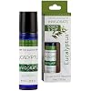 SpaRoom Aromatherapy 100% Pure Essential Oils for Diffusers and Air Freshners, Invigorate Eucalyptus, 10 mL
