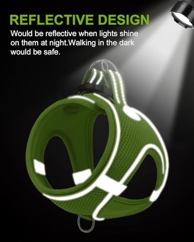 Joytale Hundegeschirr, Reflektierend Weich Gepolstert Hunde Geschirr, Air-Mesh Atmungsaktiv Brustgeschirr für Katze Welpen, Kleine Hunde, XXS, Grün
