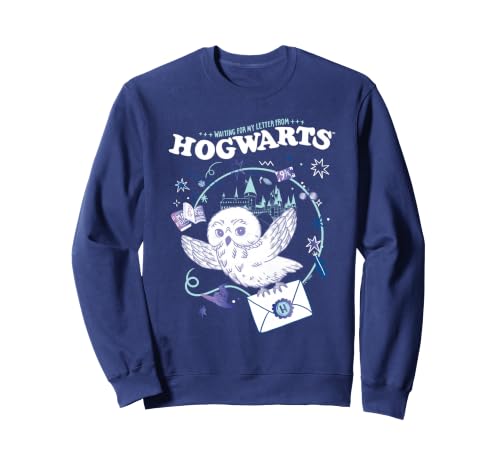 Image of Harry Potter Hedwig Delivering Hogwarts Letter Sweatshirt